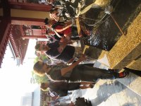 IMG_0377.JPG